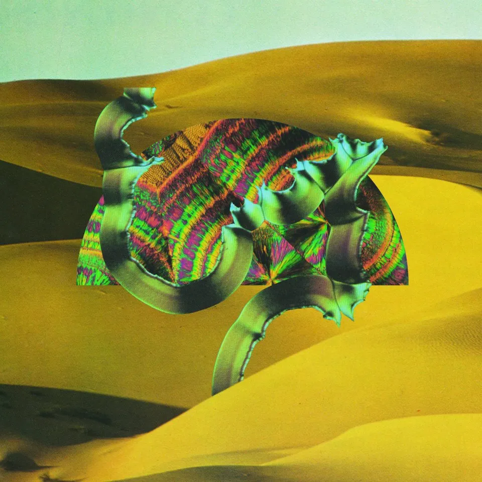 Django Django album cover